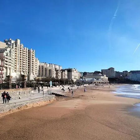 Studio Acces Direct A La Grande Plage *